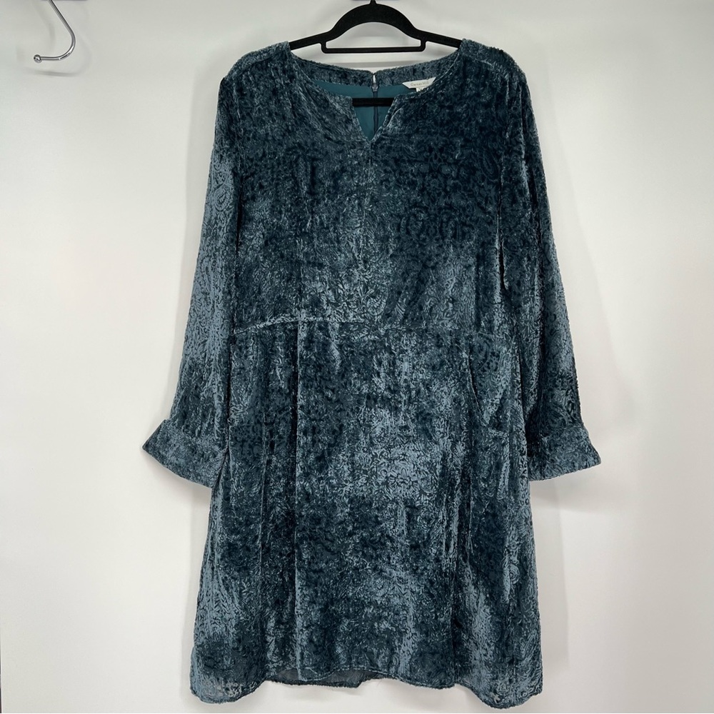 Garnet Hill Silk Blend Velvet Burnout Long Sleeve Dress